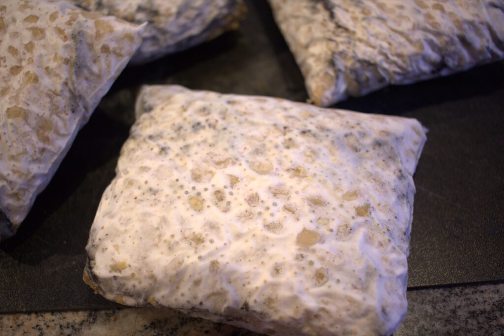 Fertiger Tempeh